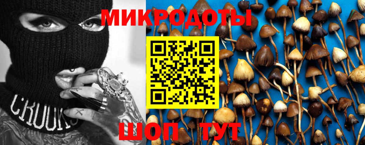 Псилоцибиновые грибы Psilocybine cubensis  Псилоцибиновые грибы Magic Shrooms  Глазов  Вход с VPN 